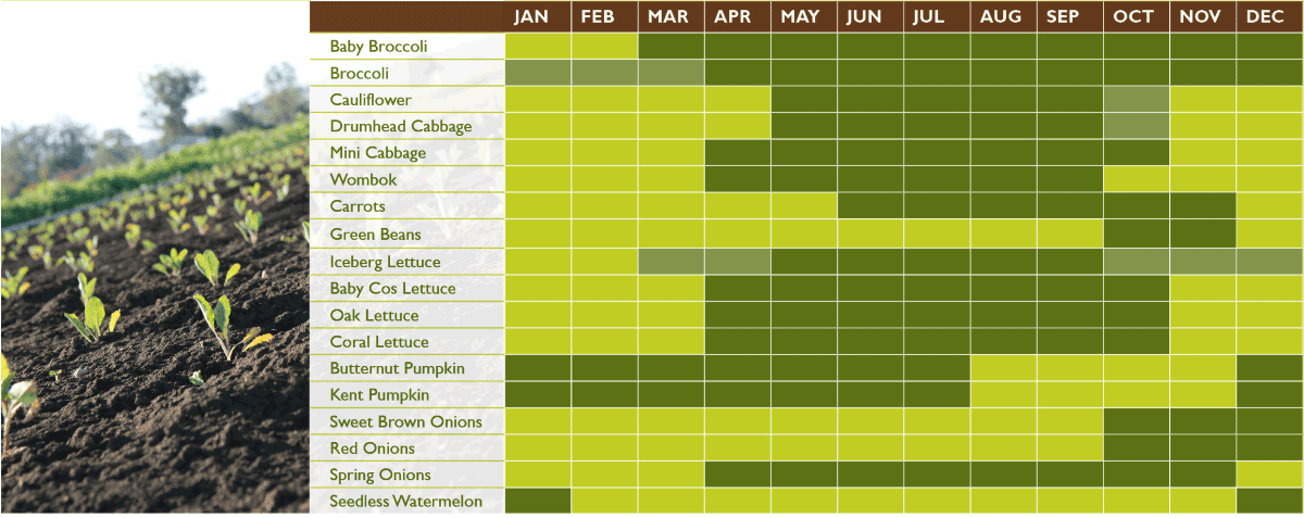 QLD Fresh Exports Seasonality Chart